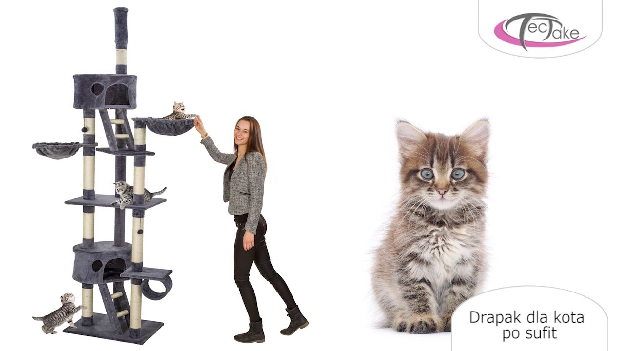 tectake - Drapak dla kota po sufit