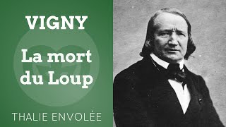 La mort du Loup - Alfred de Vigny - Thalie Envolée (HD)