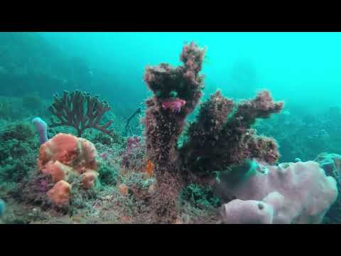 Sutherland Point, Parque Nacional Kamay Botany Bay, Sydney, NSW, Austrália.