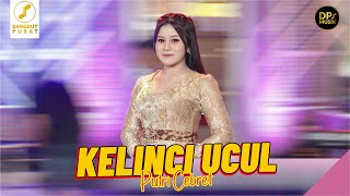 Download lagu PUTRI CEBRET  - KELINCI UCUL - NGUBENGI KUTHO SAKTERUSE ING DESO DESO (DP MUSIK ) mp3 Download lagu PUTRI CEBRET  - KELINCI UCUL - NGUBENGI KUTHO SAKTERUSE ING DESO DESO (DP MUSIK ) mp3