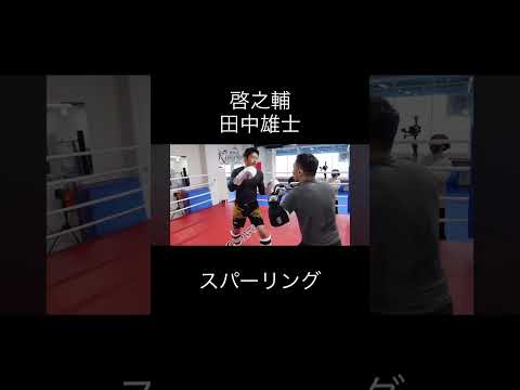 田中雄士啓之輔スパーリング #キックボクシング #k1wgp #格闘技 #ブレイキングダウン
