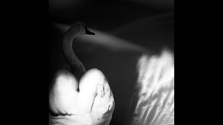 Depeche Mode - Boys Say Go! (Richard Skinner Session)