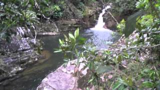 preview picture of video 'Cachoeira do Mandira - Cananéia - SP'