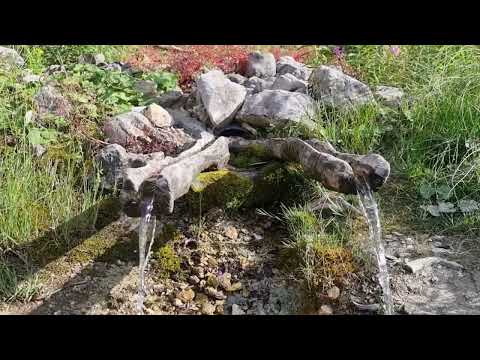 KRONI I FTOFT, VOJDULLË 21.07.2023