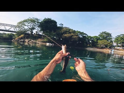Pesca Bajo El Puente Chixoy En Ixcan Quiche Guatemala 🇬🇹🇬🇹🇬🇹🇬🇹