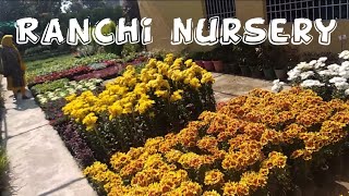 preview picture of video 'Ranchi harmu Plant nursery jharkhand'
