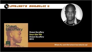 Shaun Escoffery- Space Rider (2015)