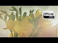 Lee So Ra - Hard To Say I'm Sorry