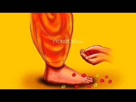 Gru purnima special ||New Guru purnima whatsapp status 2019 ||Guru day video status 2019 🙏🙏🙏