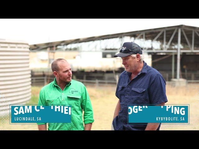 Keys to Footbathing - Livestock SA