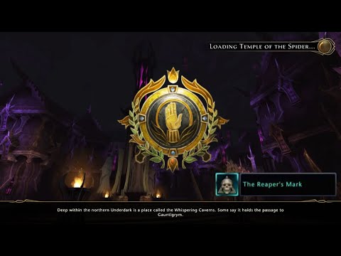 Neverwinter Mod 22 - Reaper's Challenge Temple of the Spider - Devout Cleric