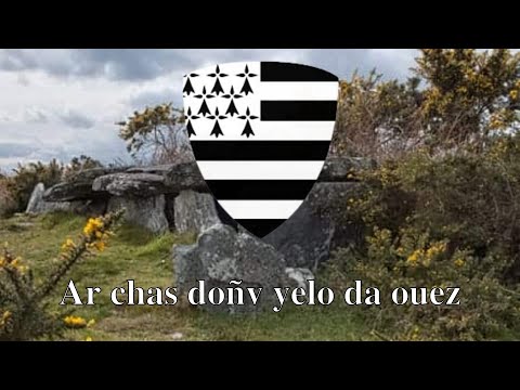 Ar chas doñv yelo da ouez