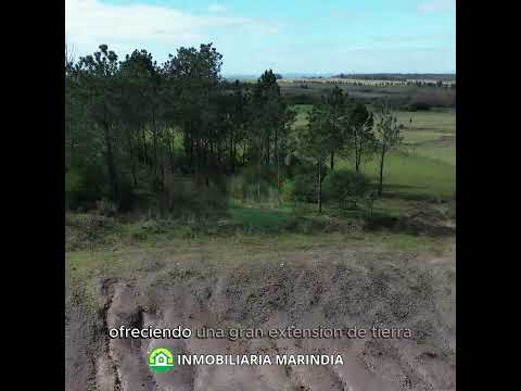 Vendo Chacra de 6has en Migues Rural.