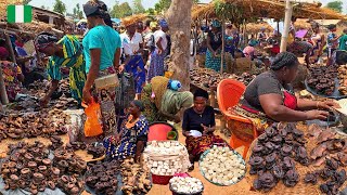 Rural African Village Market Day in Doma Nigeria 🇳🇬 West Africa