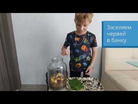 Опыт с дождевыми червями