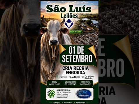 São Luis de Montes Belos - GO   01/09/2026