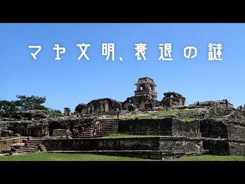 【クラウドファンディング】マヤの遺跡に眠るシマシマの地層を掘り抜いて、文明衰退の謎に迫る！