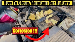 Clean and Protect Corroded Battery Terminals