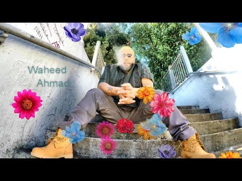 Waheed Ahmad ft. Ibx92, Cassani and Jimmy Jim " Where Have All The Flowers Gone" the video