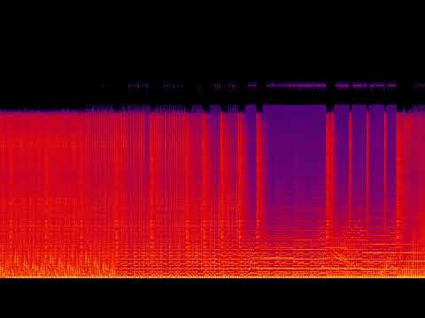 The Twelves - Essential Mix (BBC Radio 1) | 2009 Live DJ Set