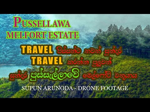 Melfort Estate| Pussellawa| Sri Lanka| Traveling Place| Supun Arunoda| Drone Footage