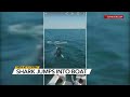 Mako Shark Jumps Into Boat Fishing Off Maine Coast VIDEO