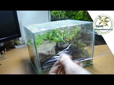 Suchy start Akwarium. Czyli "bezproblemowy" start zbiornika.