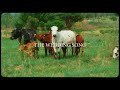 Majorsteez Clxrity The Wedding Song Official Visualiser