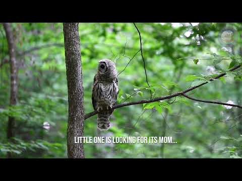 2021.8 This kid is annoying 弟弟好烦人！