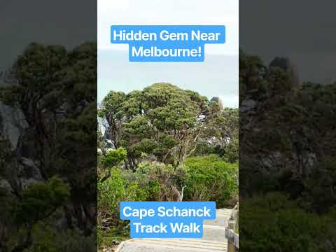 Exploring the breathtaking Cape Schanck Track Walk on the Mornington peninsula#youtubeshorts