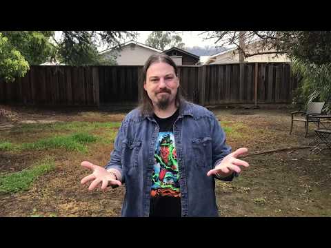 Coin Magic: 3 Morgan to 3 Chinese Coins