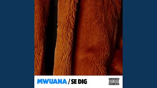 Se Dig Music Video