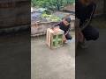 Working Pigeons Cage Open The Door Pigeonlover Kalapati Pet Tips Working Shorts 2025