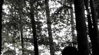 Agonoize - Bis das Blut gefriert - Offizielles Musikvideo