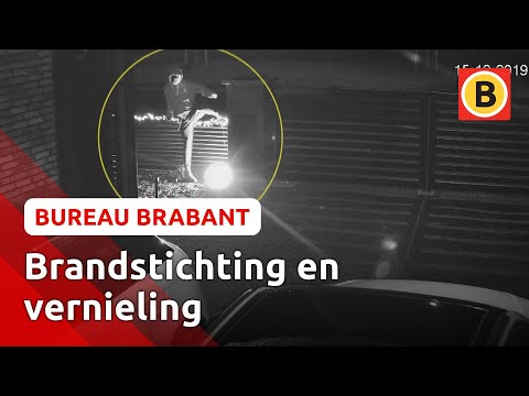 Bewoners slachtoffer van meerdere misdrijven in Schijndel | Omroep Brabant