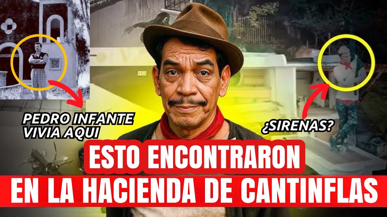 YouTube Thumbnail Downloader FULL HQ IMAGE