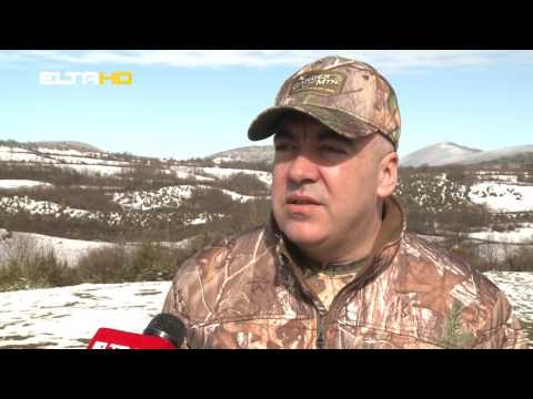 BL HRONIKA 28 02 17   DANI VUKA CEMERNICA