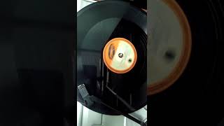 I want to spend Xmas with Elvis by Elvis Presley