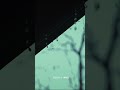 𝐌𝐚𝐳𝐡𝐚𝐲𝐞 𝐓𝐡𝐨𝐨𝐦𝐚𝐳𝐡𝐚𝐲𝐞 ️ Shorts RainWhatsAppSta