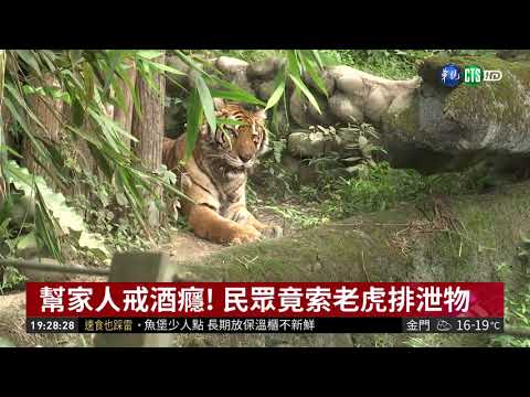 動物偏方一籮筐 求好"孕"索孔雀羽毛