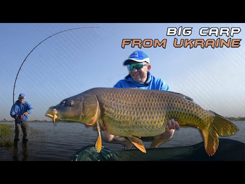 Adventure on wildlife. Series 30 Catching carp at a distance of 120+ methodic snap-ins