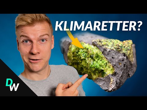Wie die Natur selbst die Klimakrise bekämpft