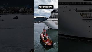 MSC SEAVIEW ship 13/12/25 ‎⁨@cruzeiros2025⁩ chegando navio #cruzeiro #google #cruise #shorts