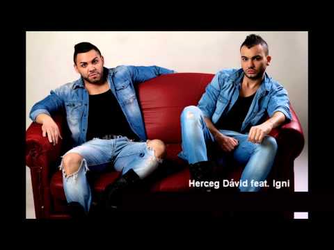 Herceg Dávid feat Igni  -  Szerelem szerelem