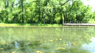 preview picture of video 'Mountain Maryland Mo Goes Fishing on the C&O Canal'