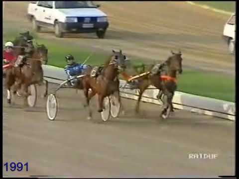 DERBY DEL TROTTO 1991 NEVAIO