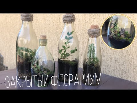 ФЛОРАРИУМ ЗАКРЫТОГО ТИПА СВОИМИ РУКАМИ С МИНИМАЛЬНЫМИ ВЛОЖЕНИЯМИ || КАК СДЕЛАТЬ ФЛОРАРИУМ?|florarium