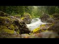 Nature Love When We Feel Love Love BGM Relax Tamil Love Bgm