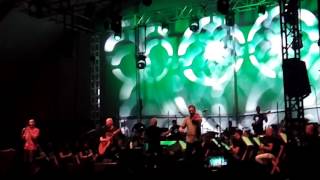 Madera de colleja - CELTAS CORTOS