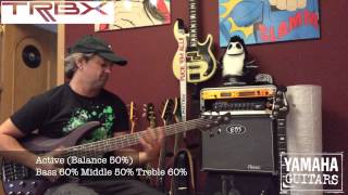 Video thumbnail for YAMAHA TRBX 505 Bass Sounds (Demo) by Fernando Mainer